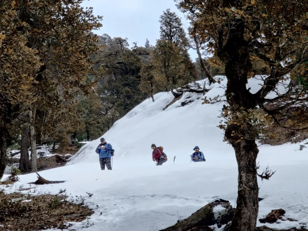 Himalayan Expedition