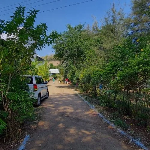 Confidence Park