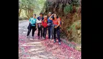 Fit@50: All women Trans-Himalayan trek completes one month